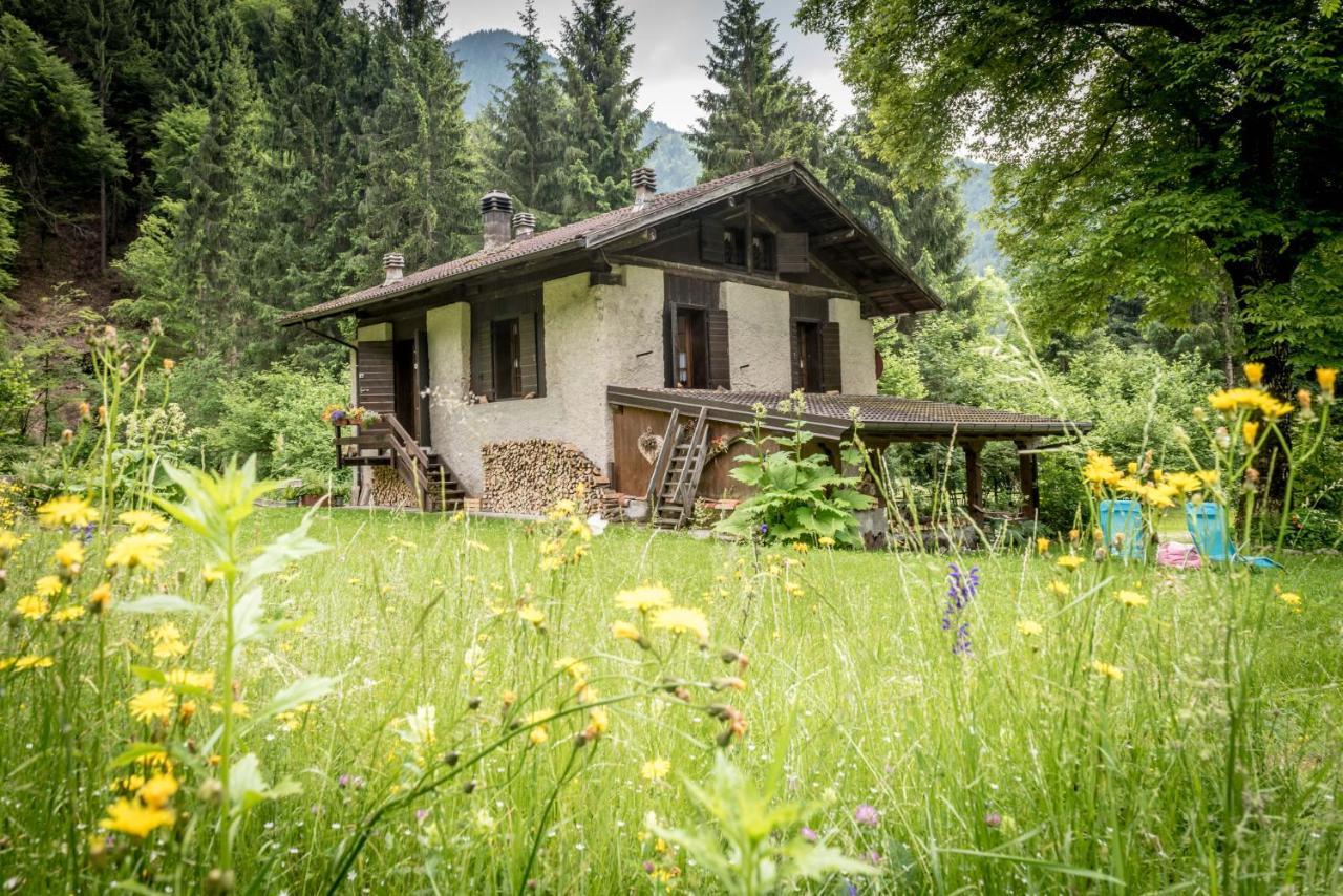 Chalet Silenthia Villa Lenzumo di Concei Екстериор снимка