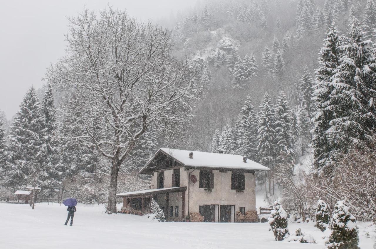Chalet Silenthia Villa Lenzumo di Concei Екстериор снимка